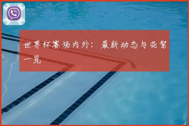 世界杯赛场内外：最新动态与花絮一览