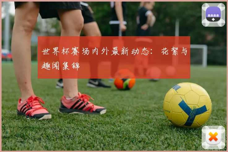世界杯赛场内外最新动态：花絮与趣闻集锦