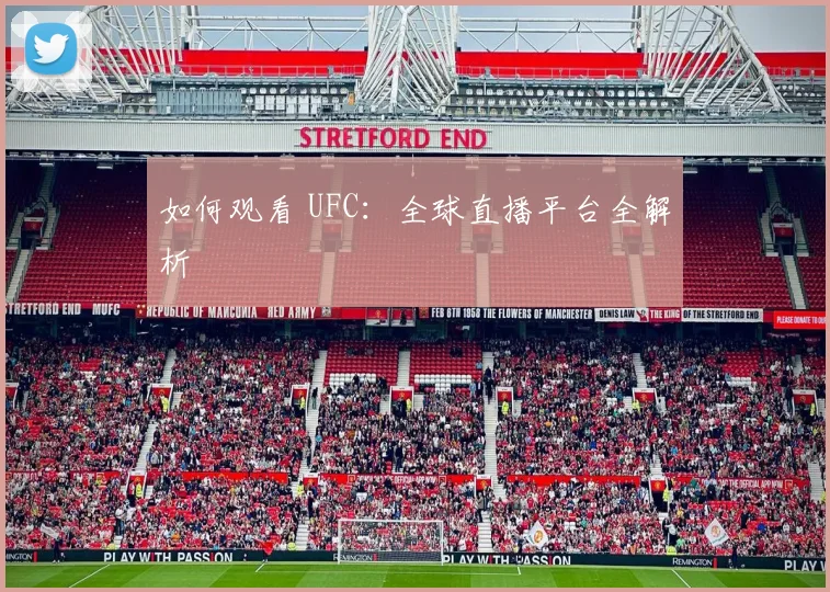 如何观看 UFC：全球直播平台全解析