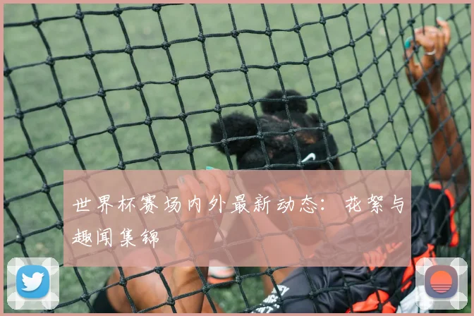 世界杯赛场内外最新动态：花絮与趣闻集锦
