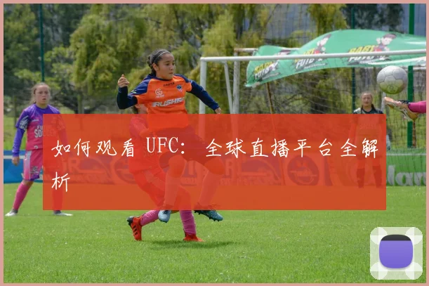如何观看 UFC：全球直播平台全解析