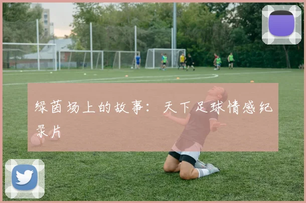 绿茵场上的故事：天下足球情感纪录片