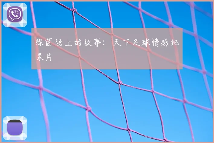 绿茵场上的故事：天下足球情感纪录片
